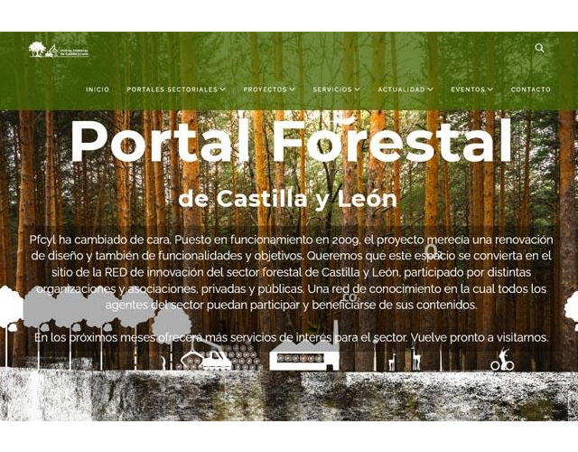portfolio-fourth